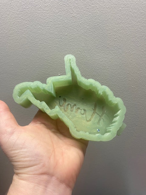 WV Home Destash Mold