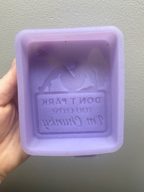 Don't Park To Close I'm Chunky Destash Mold
